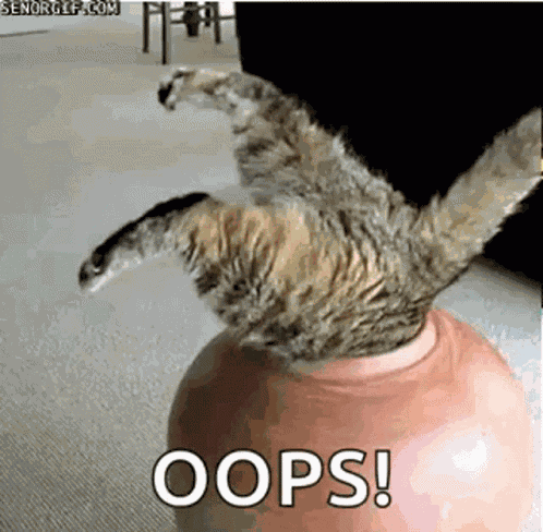 Funny Animals Stuck GIF