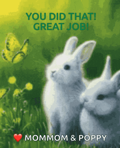 Funny Bunny Great Job Bunny GIF