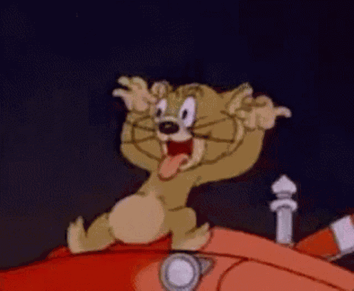 Funny Cat Tom And Jerry GIF