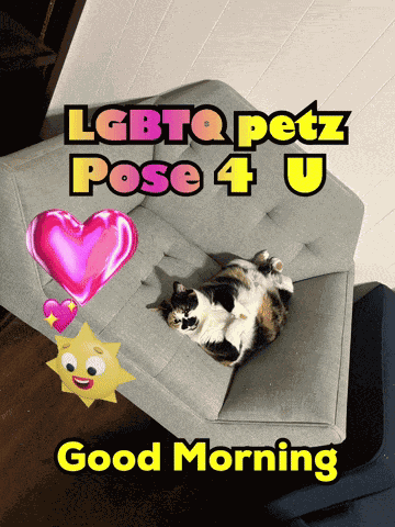 Funny Gif Funny Gay GIF