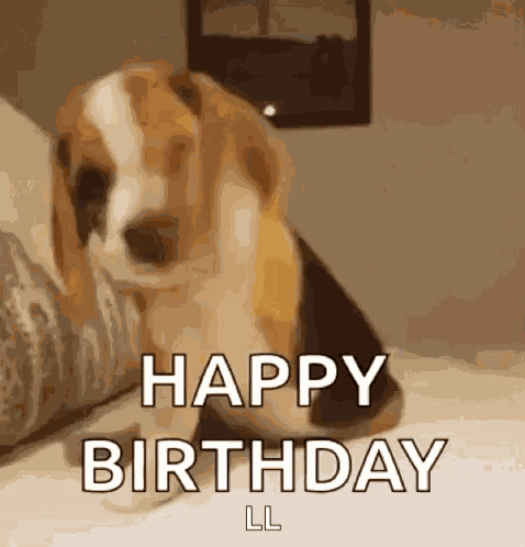 Funny GIF