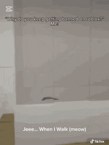 Funny Intro Music GIF