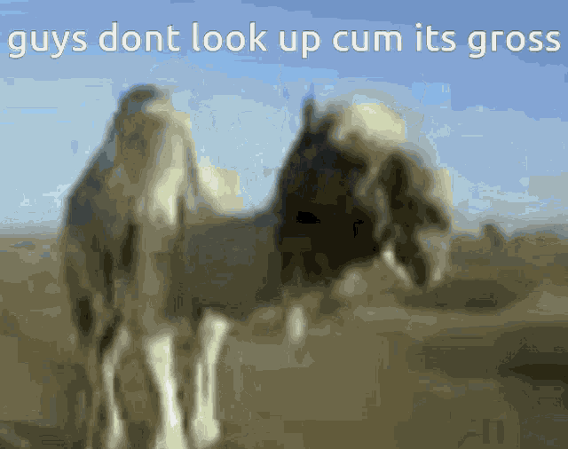 Funny Kurdish Cum GIF