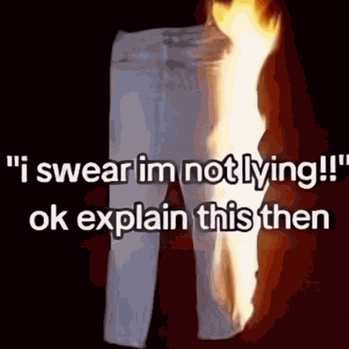 Funny Meme GIF