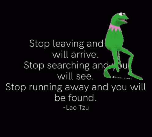 Funny Memes Funny Jokes GIF
