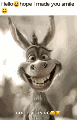 Funny Memes Happy Sunday Meme