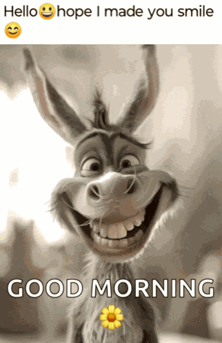 Funny Memes Happy Sunday Meme