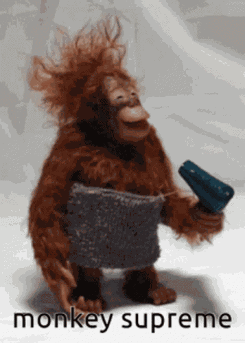Funny Memes GIF