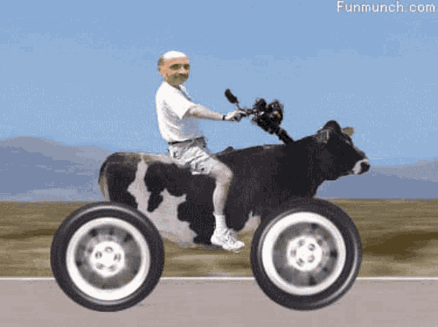 Funny Ride GIF