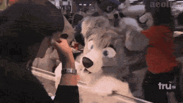 Furry Furry Cute GIF