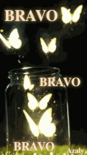Fus Bravo GIF
