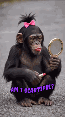 Güzel Maymun Monkey Beautiful GIF