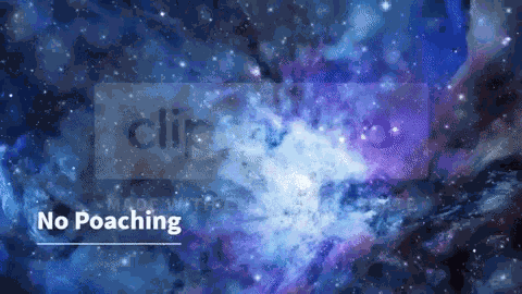 Galaxy Galaxy Rules GIF