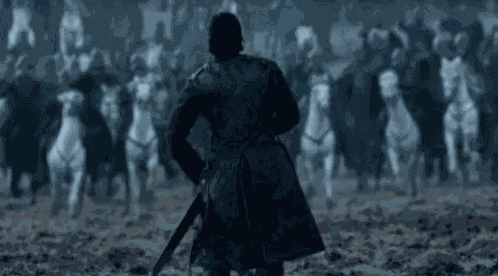 Game Of Thrones Go T GIF