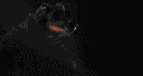 Gamera Kaiju GIF