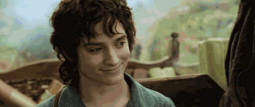 Gandalf Frodo GIF