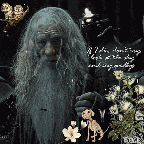 Gandalf GIF
