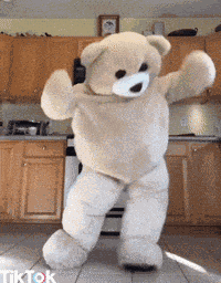 Gangstabear Dancing Bear GIF