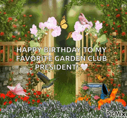 Garden Butterfly GIF