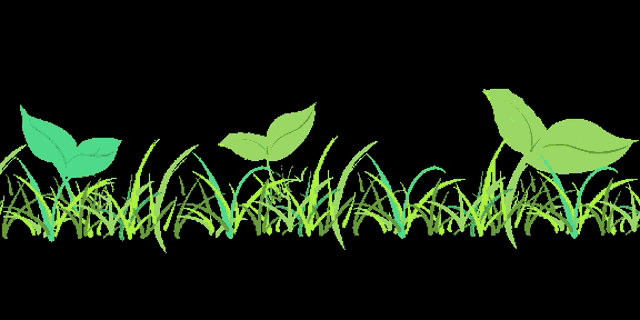 Garden Divider Leaves GIF