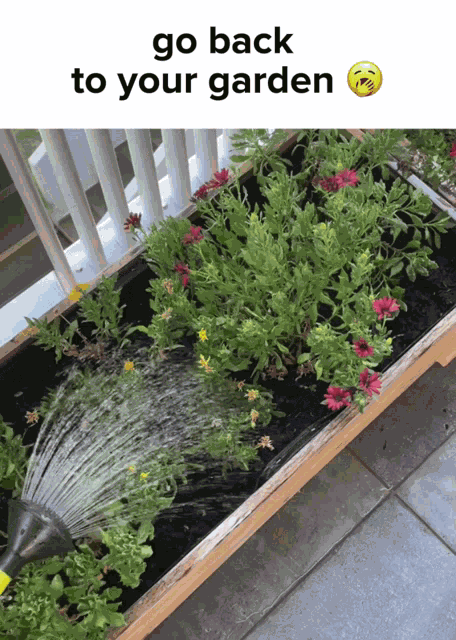 Garden Go Back GIF