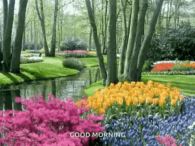 Garden GIF