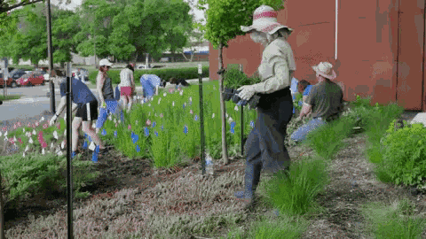 Gardeners At A University GIF