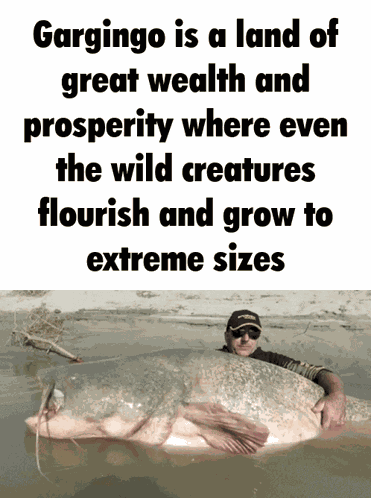 Gargingo Gargingo Flood GIF