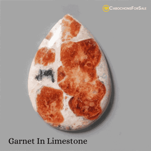 Garnet In Limestone Garnet In Limestone Meaning GIF