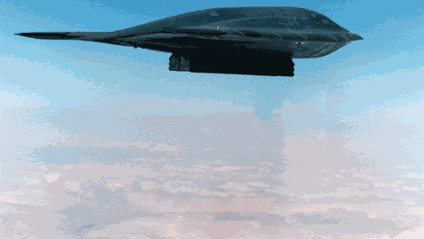 Gary Gary Cat GIF