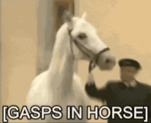 Gasps In Horse Meme GIF