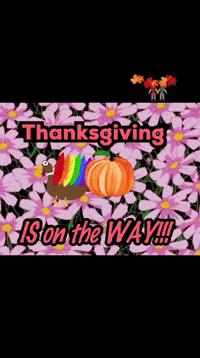 Gay America Usa Gay GIF