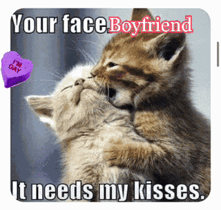 Gay Couples Gay Curious GIF