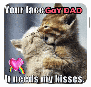 Gay Daddy Gay Dads GIF