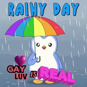 Gay Football Fan Lgbtq Husband GIF