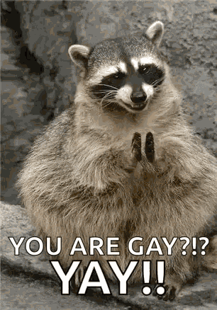Gay Harvard GIF