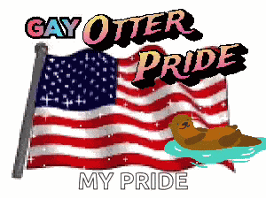Gay Otters Gays GIF