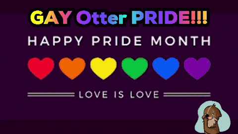 Gay Otters Gayz GIF