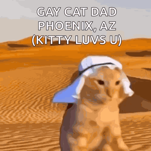 Gay Phoenix Gay Arizona GIF