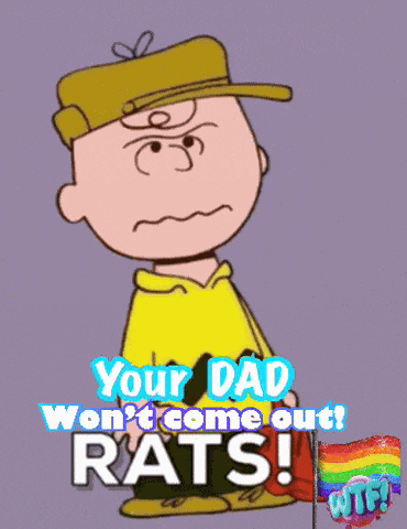 Gay Sports Fan Lgbtq Sports Fans GIF