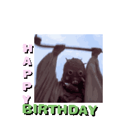 Geburtstag Happy Birthday Sticker