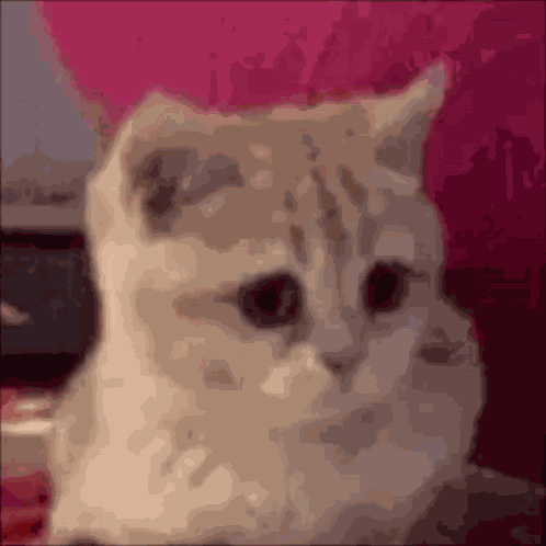 Genau GIF