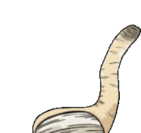 Geoduck Clam Sticker
