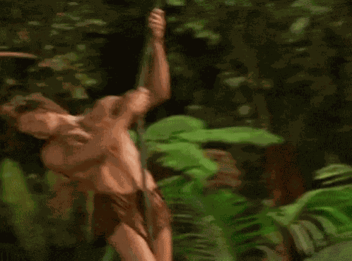 George George Of The Jungle GIF