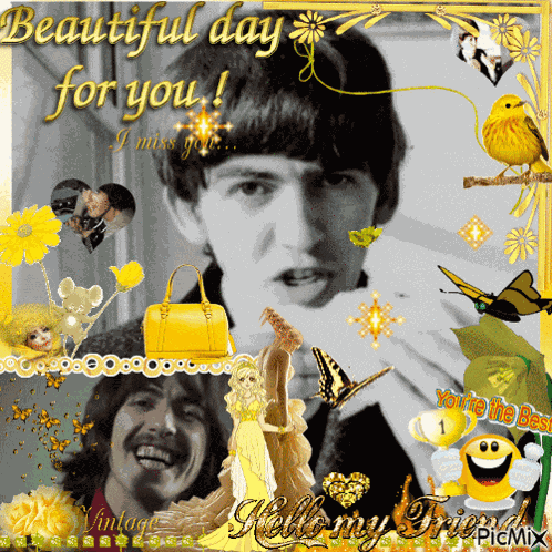 George Harrison Yellow GIF