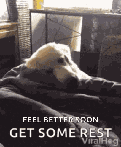 Get Well Soon GIF