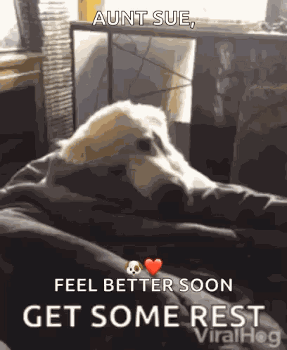 Get Well Soon GIF