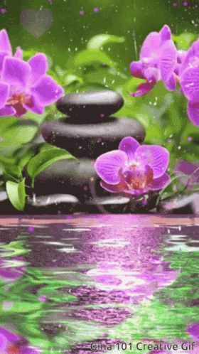 Gina101 Gina101creative GIF