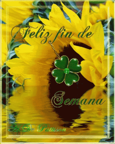 Girasoles Feliz Fin De Semana GIF