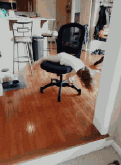 Girl Spinning GIF